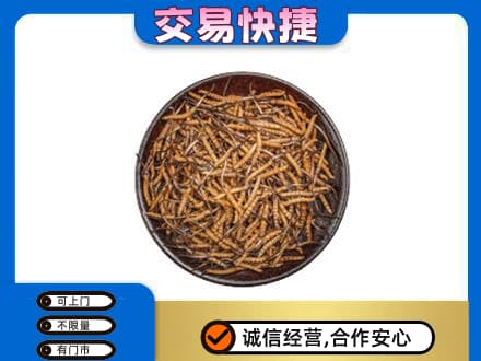 琅琊区回收散虫草